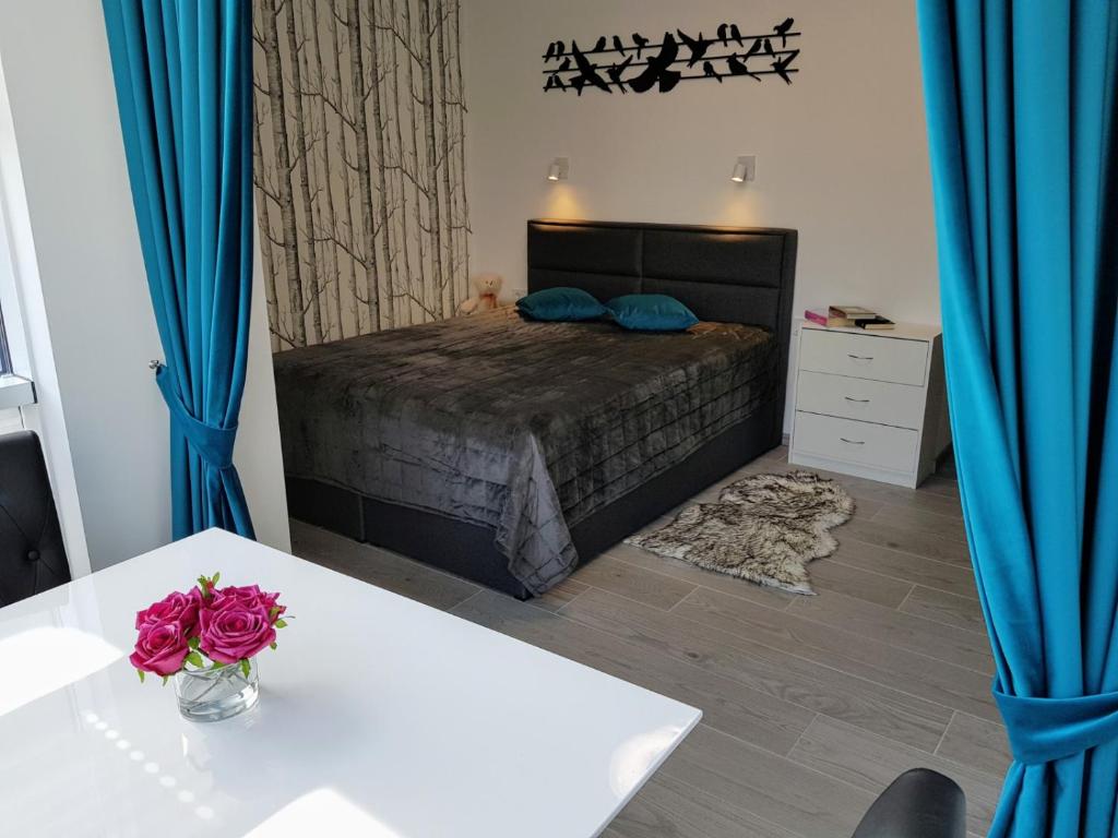 Apartamentai Vyta Plius - Studio Apartment