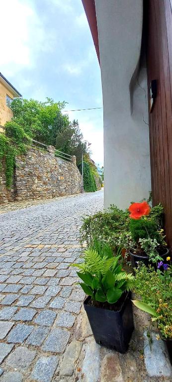 Fotografie z fotogalerie ubytování Penzion Merlin v destinaci Český Krumlov