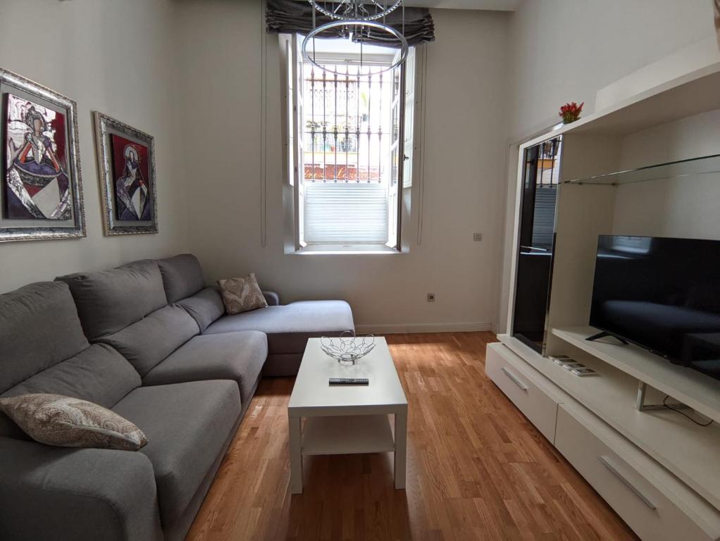 uma sala de estar com um sofá e uma televisão de ecrã plano em Apartamento Spinola Home em Sevilha