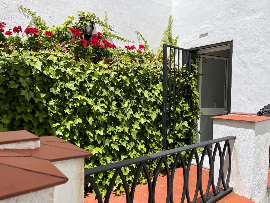 Zahrada ubytování Apartamentos Alfonso XIII
