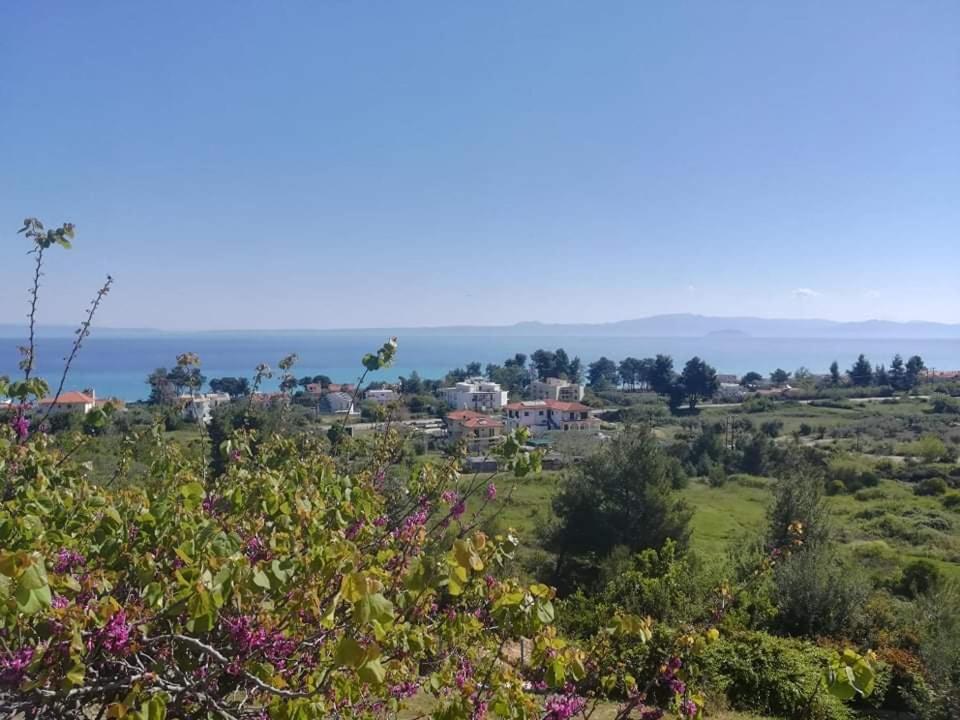 Príroda v okolí apartmánu