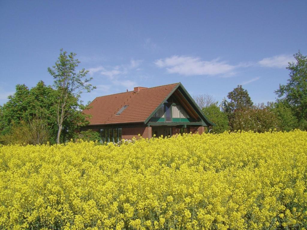 a house in the middle of a field of yellow flowers at Landhaus mit Weitblick in Holtsee