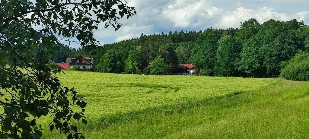 Táj Show country houses közelében