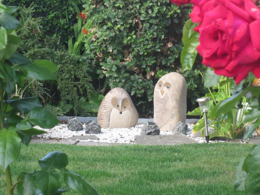 Zahrada ubytování St Judes B&B