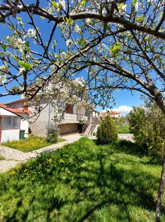 Zahrada ubytování Prespa`s Balcony Guesthouse