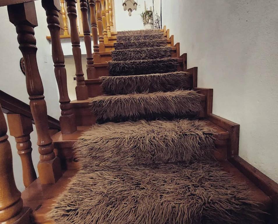 Fotografie z fotogalerie ubytování Prespa`s Balcony Guesthouse v destinaci Gorica e Vogël