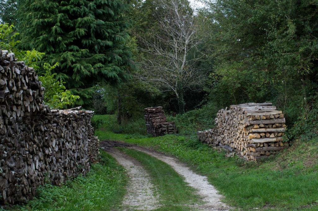 Paesaggio naturale nelle vicinanze del bed & breakfast