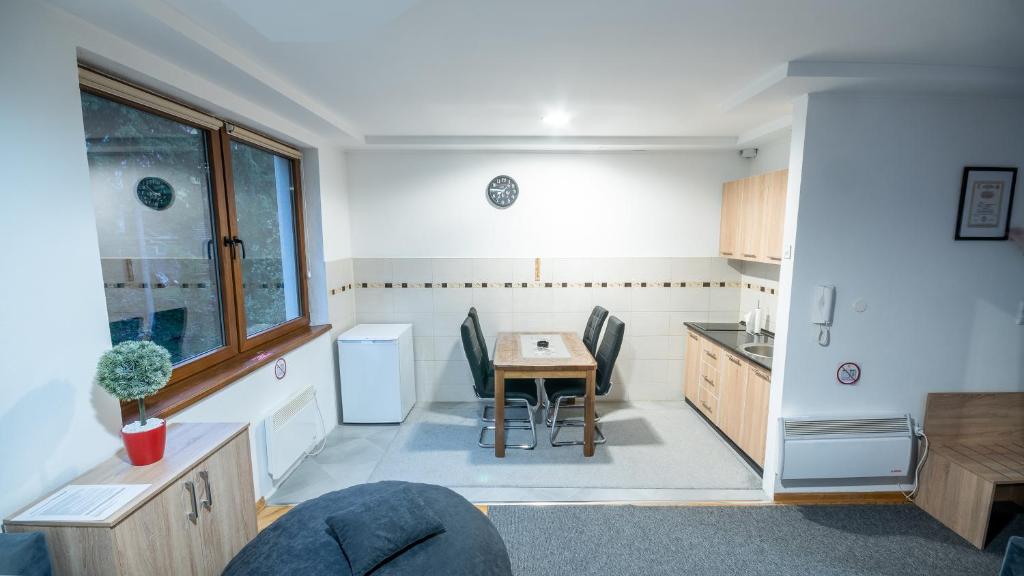Kuchyň nebo kuchyňský kout v ubytování Alpin Apartments Vlašić