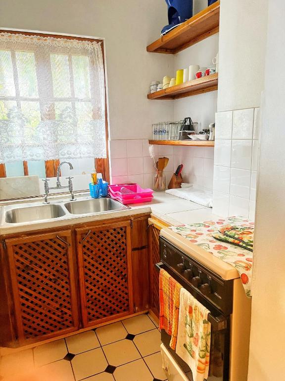 Kuchyň nebo kuchyňský kout v ubytování Villa Caribbean Dream