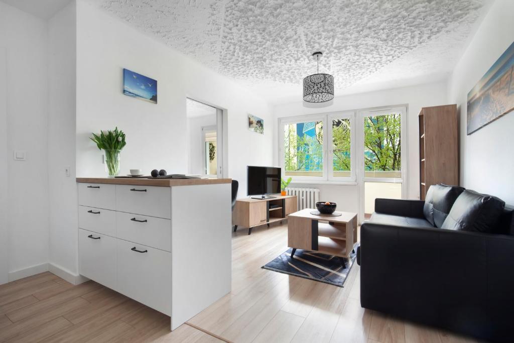 Televízia a/alebo spoločenská miestnosť v ubytovaní Gdynia Mare Apartment