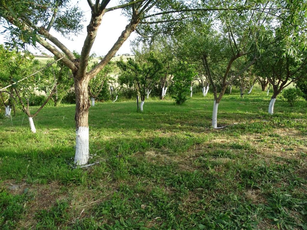 Zahrada ubytování MELENIOS HOUSES
