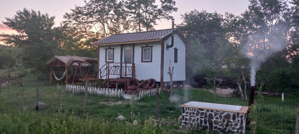 a small house in the middle of a field at Căsuța Sara- the story of nature in Plopi