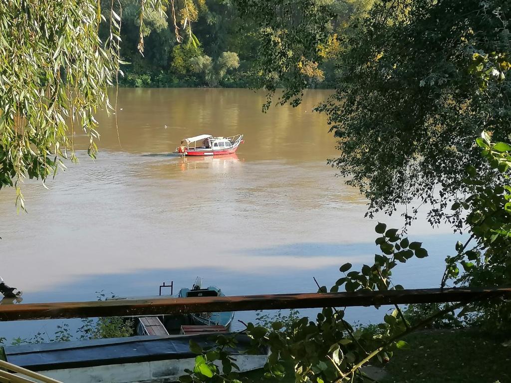 Widok na rzekę nieopodal tego apartamentu