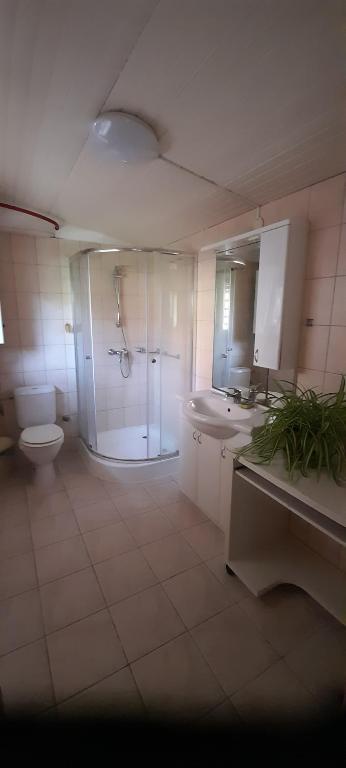 Kúpeľňa v ubytovaní Lelle Lelke Apartmanház