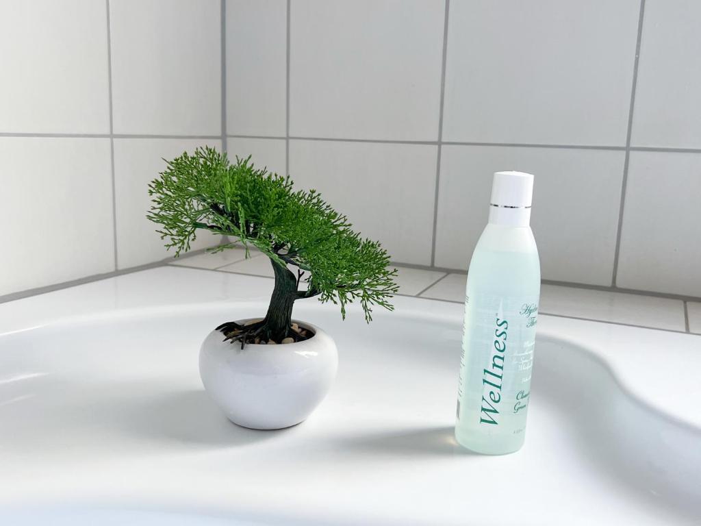 Penthouse Am Goethepark - Apartments & Suites Weimar - 19