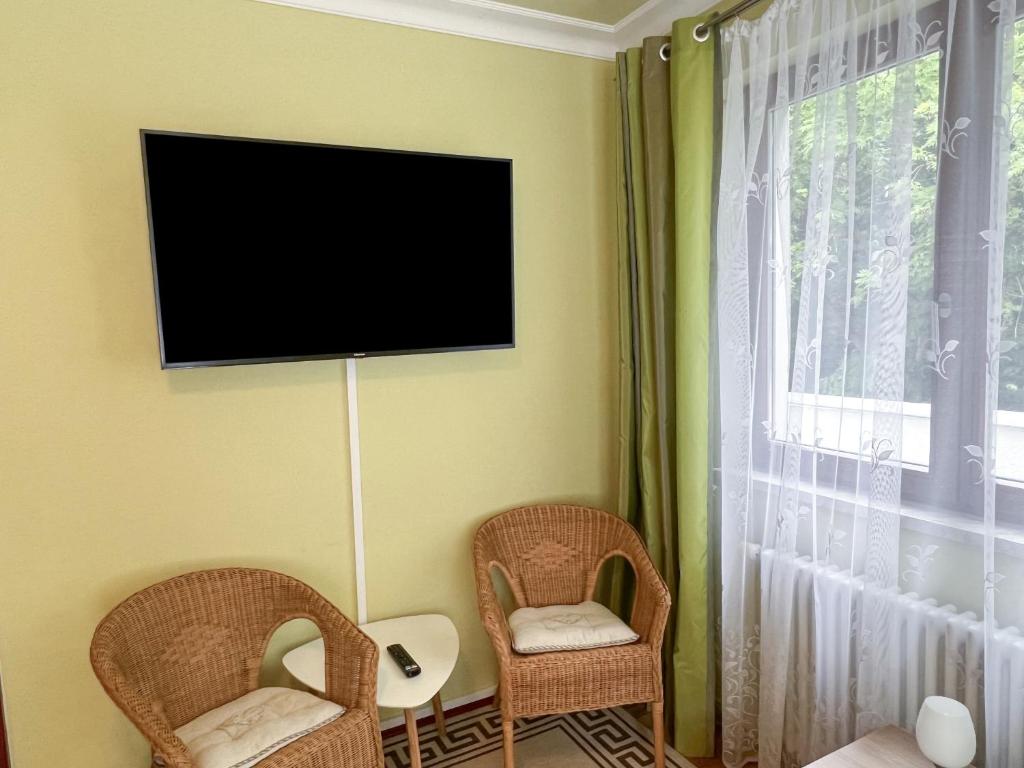 Penthouse Am Goethepark - Apartments & Suites Weimar - 11