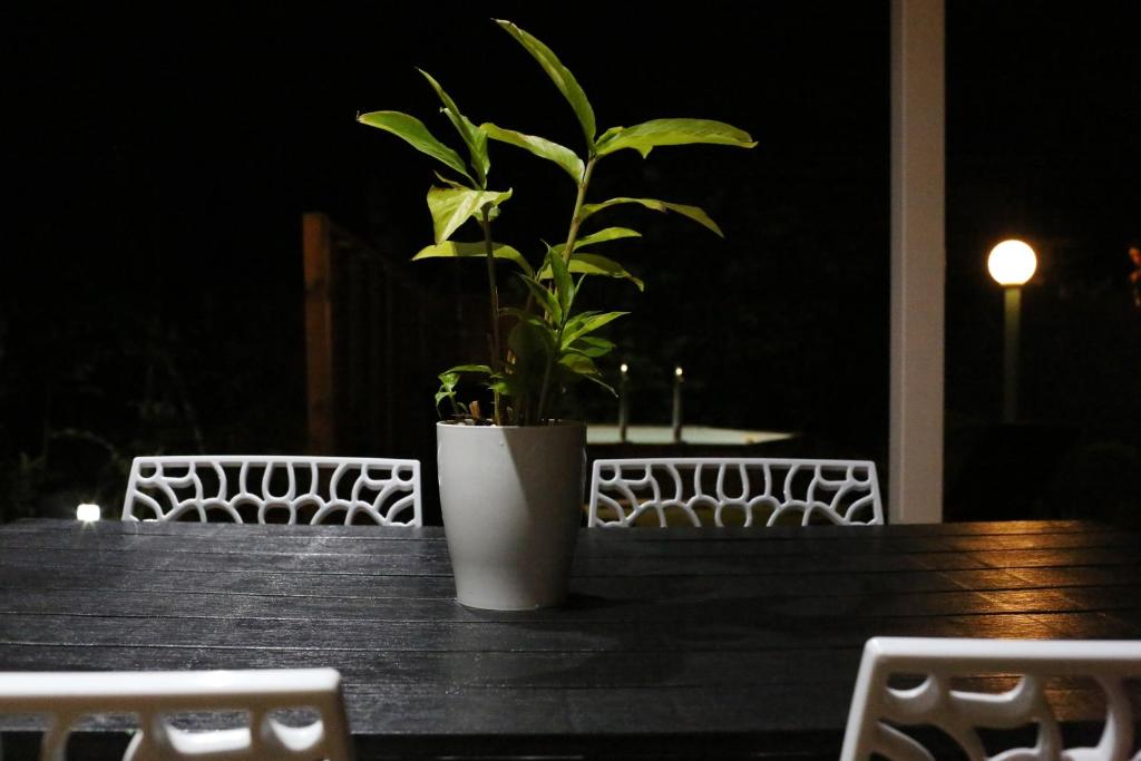 Fotografie z fotogalerie ubytování Bungalow Harmony v destinaci Baie Mahault
