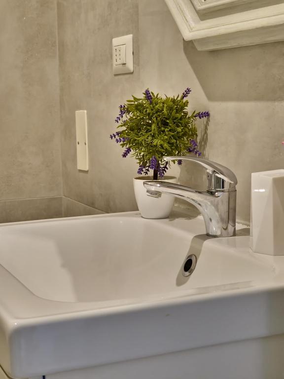 a bathroom sink with a faucet with a plant on it at APPARTAMENTS SAN FRANCESCO in Castelfiorentino