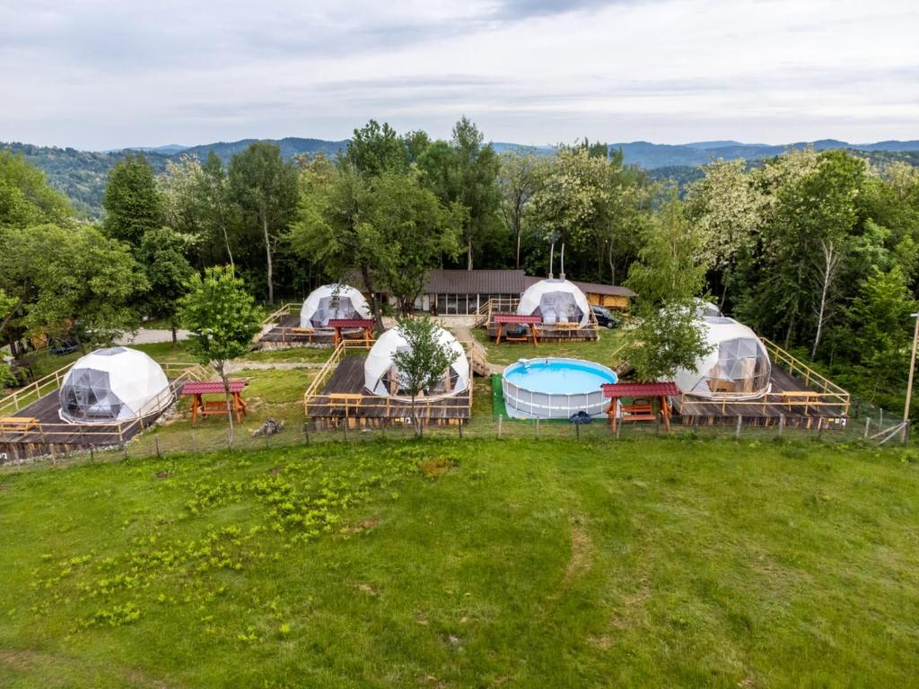 a group of tents in a field with a pool at Brancoveanu Glamping in Văratici