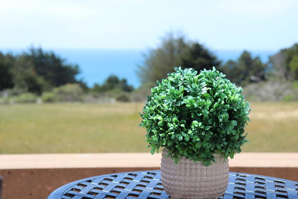 a plant in a vase sitting on top of a table at Cozy Getaway with Ocean View and Private Entrance! in Gualala