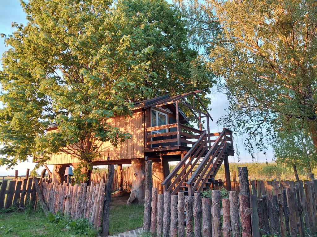 Fotografie z fotogalerie ubytování Podlasie Domek na drzewach v destinaci Trześcianka