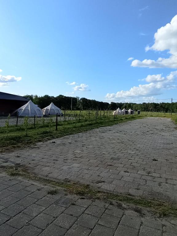 Příroda nedaleko luxury tent
