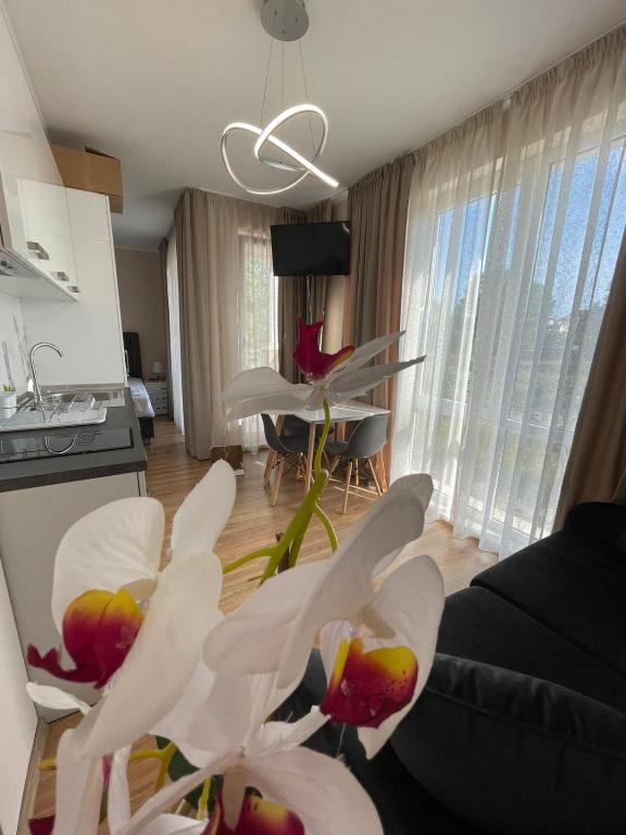 Kuchyň nebo kuchyňský kout v ubytování Izi Palace Deluxe StudioB1