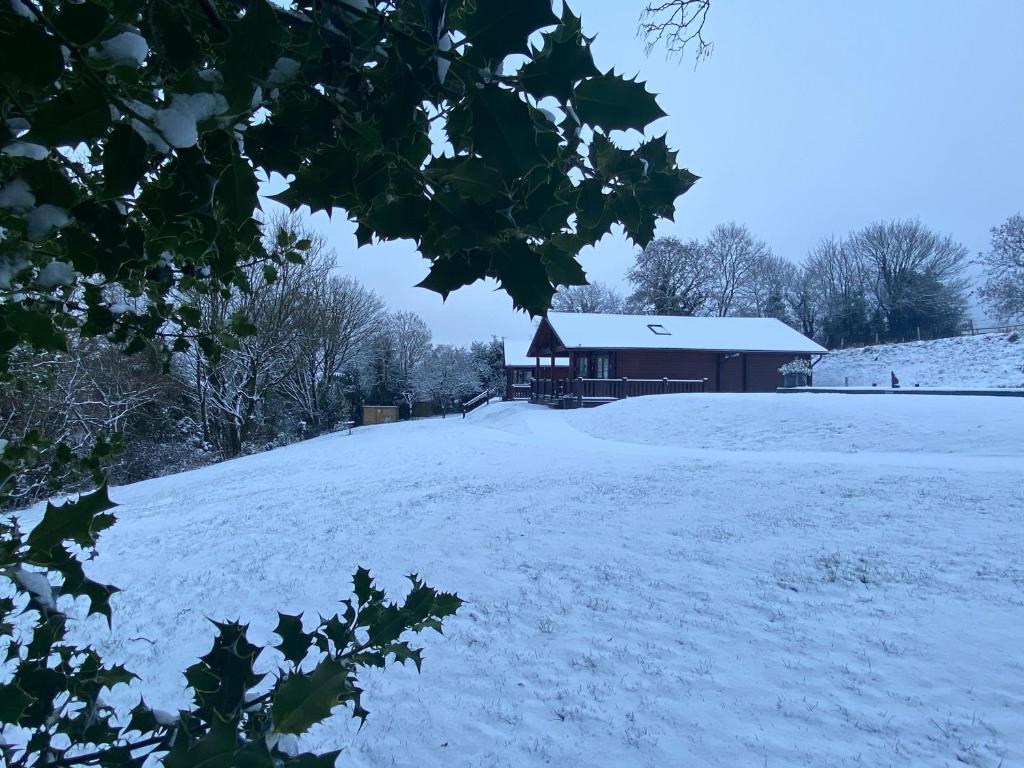 Hollybush Barn in Leigh upon Mendip, Somerset, England