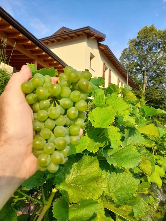 Zahrada ubytování Cascina Teresina