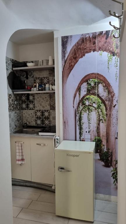 Kuchyň nebo kuchyňský kout v ubytování Domus Flavia
