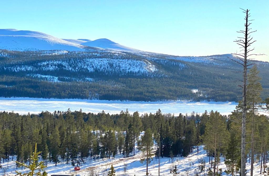 uma vista para uma montanha coberta de neve com árvores e um lago em 1125 Fjällstugan em Lofsdalen