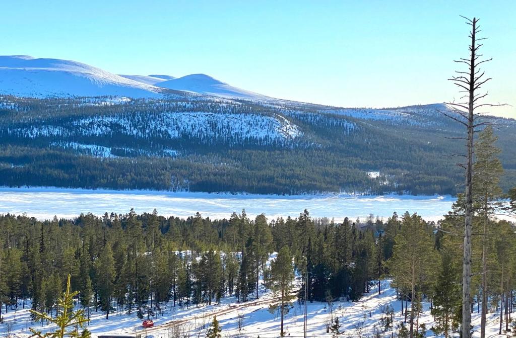 a view of a snow covered mountain with trees and a lake at 1125 Fjällstugan in Lofsdalen