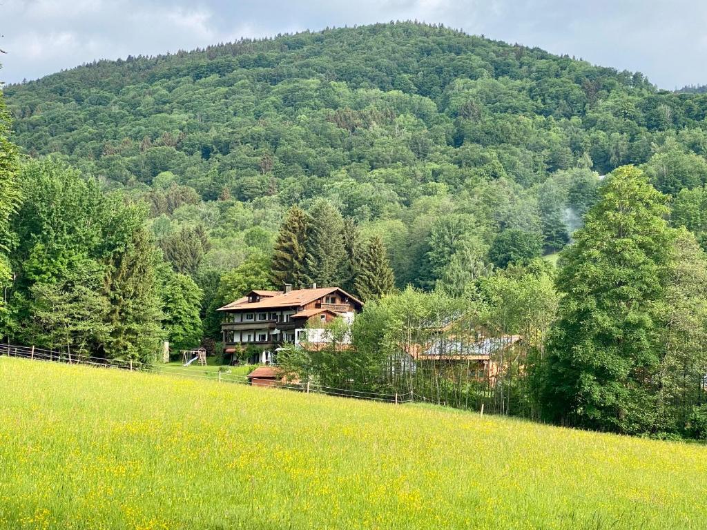 una casa en una colina frente a una montaña en Gartenwohnung im Gut Sonnenwald, en Schöllnach