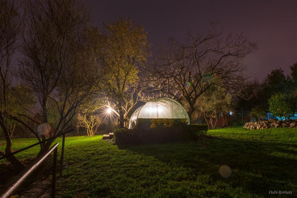 A garden outside Amikam Meshek 81 משק 81 עמיקם