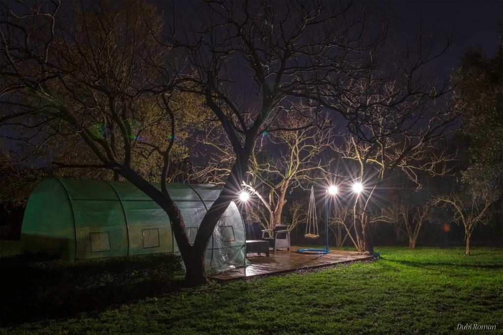 A garden outside Amikam Meshek 81 משק 81 עמיקם