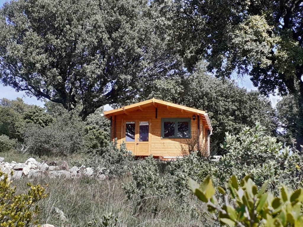 a small wooden cabin in a field with a tree at Le Chalet in Saint-Jean-de-Minervois