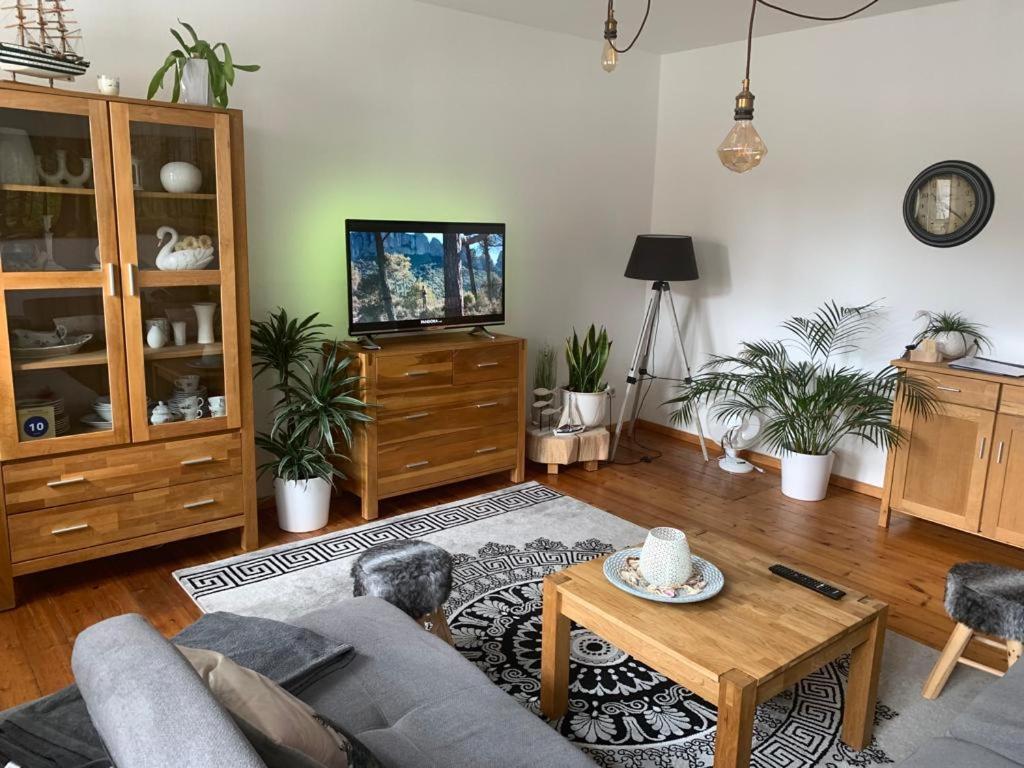 ein Wohnzimmer mit einem Sofa und einem TV in der Unterkunft Altstadt Ferienwohnung in Brandenburg an der Havel