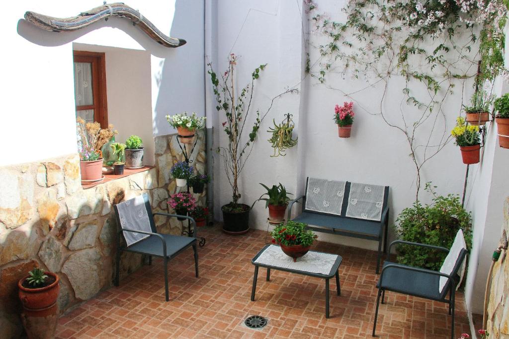 Casa Rural Aguascebas في Mogón: فناء مع كراسي ونباتات خزف