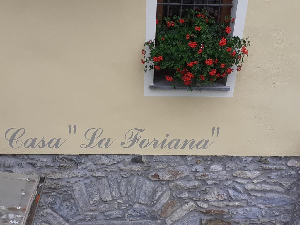 ein Fenster mit einer Pflanze mit roten Blumen darin in der Unterkunft Casa la foriana in Carema
