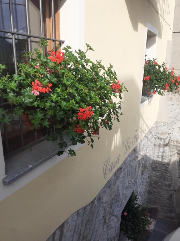 Vonkajšia záhrada v ubytovaní Casa la foriana