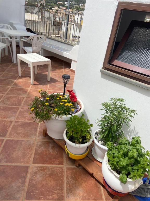 Balkón nebo terasa v ubytování Casa ISABELLA loc turist br