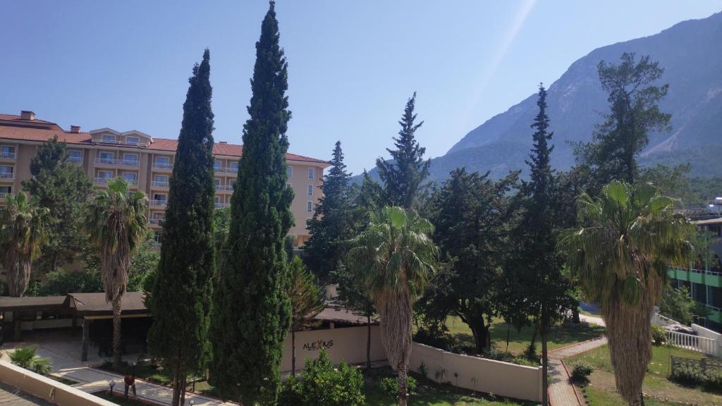 Příroda nedaleko hotelu