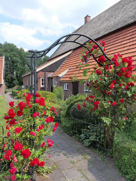 um jardim com flores vermelhas e uma casa em Erve Niehof em Diepenheim