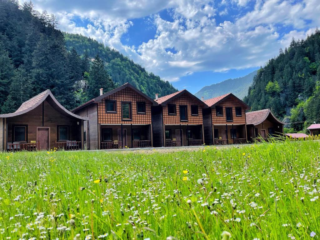 un grupo de edificios de madera en un campo de césped en Raha Villa Bungalow en Uzungol