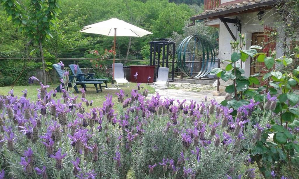un jardín con flores púrpuras y una sombrilla en Casale Le Poiane, en Buti