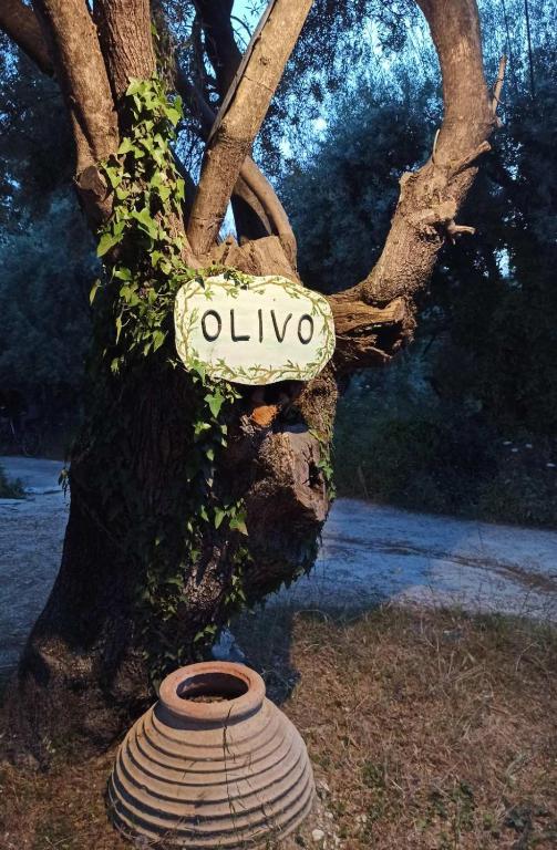 Zdjęcie z galerii obiektu Olivo Nydri w mieście Nydri