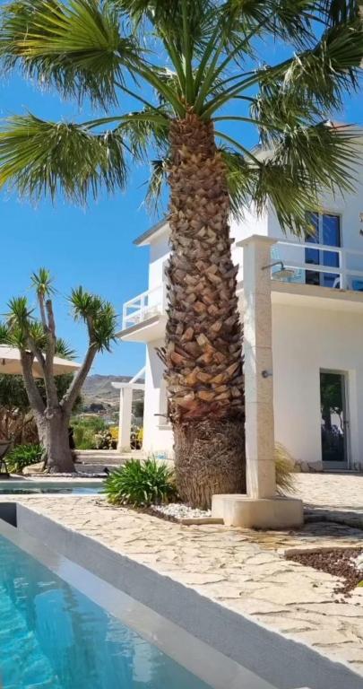 Piscina di 5 elementi o nelle vicinanze