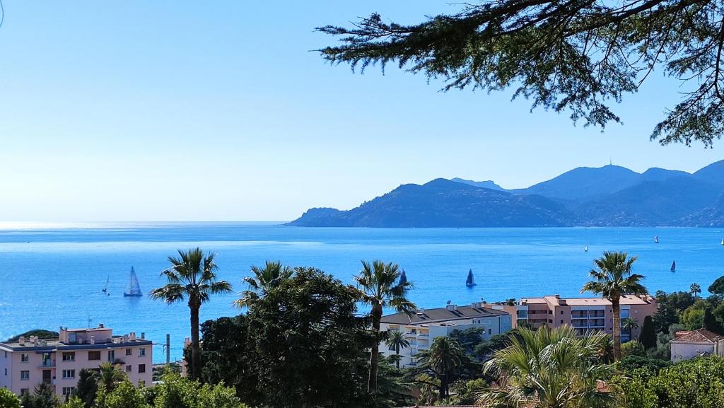 a view of a large body of water with palm trees at Studio cabine vue mer, piscine panoramique, parking couvert in Cannes