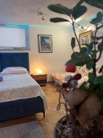 een slaapkamer met een bed en een potplant bij Taverna coctel in Poreč