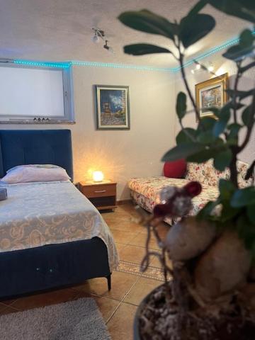 a bedroom with a bed and a potted plant at Taverna coctel in Poreč